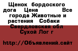 Щенок  бордоского  дога. › Цена ­ 60 000 - Все города Животные и растения » Собаки   . Свердловская обл.,Сухой Лог г.